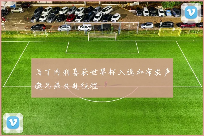 马丁内利喜获世界杯入选加布发声邀兄弟共赴征程